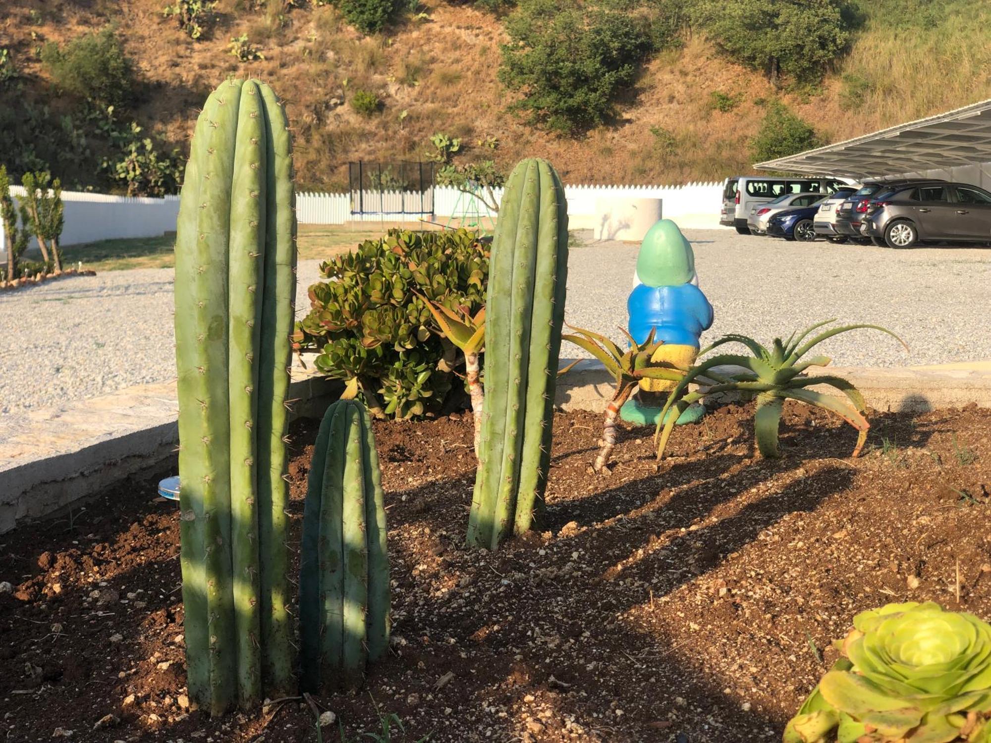 CiaramitiBloom Tropea公寓式酒店 外观 照片